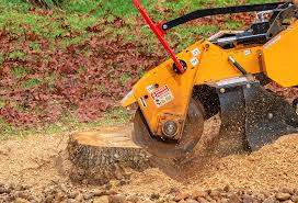 Best Firewood Processing and Delivery  in West Liberty, KY